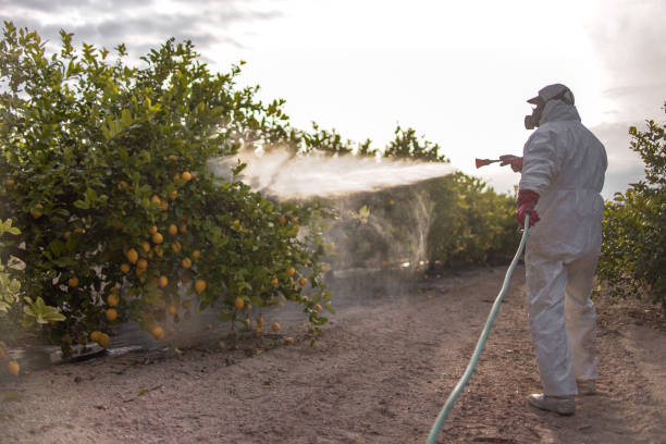 Best Pest Control Near Me in Heidelberg, PA